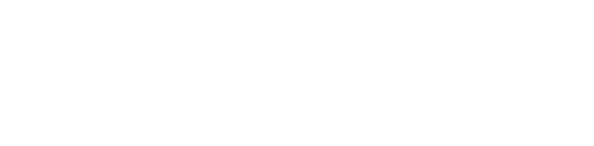 Polvius Logo